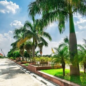 Gallery-lifescapes-3-300x300